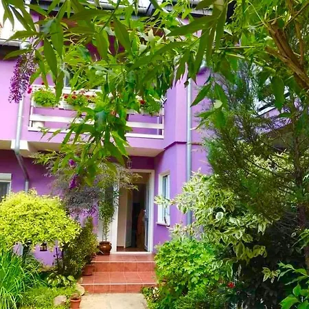 Apartment Bahus Vrdnik