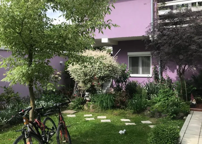 Bahus Apartment Vrdnik