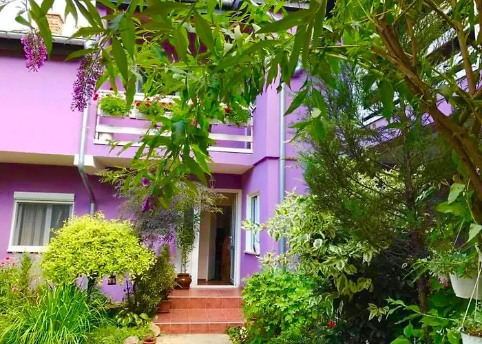 Apartment Bahus Vrdnik